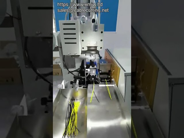เครื่อง crimping สายไฟอัตโนมัติเต็มรูปแบบ 2 หัว สำหรับผลิตชุดสายไฟ