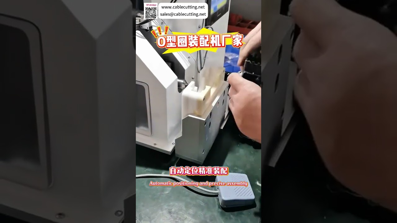 เครื่องประกอบโอริงตามสั่ง อุปกรณ์ซีลอัตโนมัติความแม่นยำสูงจากผู้ผลิตที่เชื่อถือได้