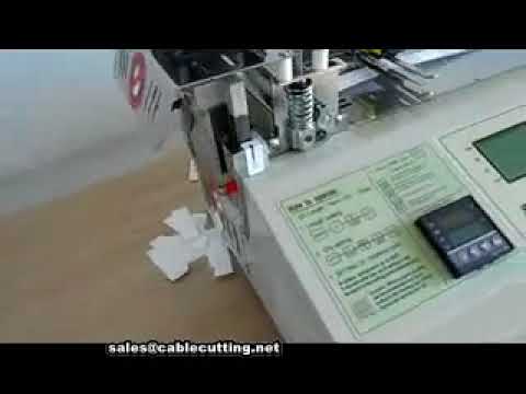 เครื่องตัดฉลากอัตโนมัติประสิทธิภาพสูง | เพิ่มความเร็วสายการผลิต