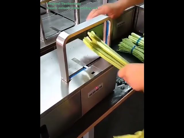 สายรัด OPP หลากสี สำหรับเครื่องรัดอัตโนมัติ | เทปมัดรวมแบบใช้ความร้อนสำหรับห่อผัก