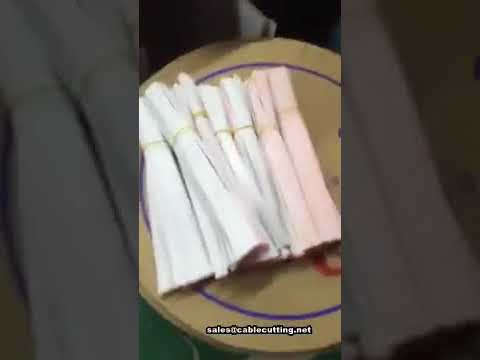 เครื่องปั๊มหัวสายแบนริบบิ้นอัตโนมัติ | เครื่อง Crimp หัวเทอร์มินัลสายแพ