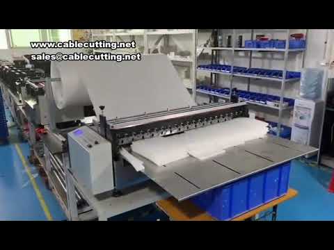 เครื่องตัดสำลีไข่มุกกำลังสูง | เครื่องสไลด์โฟม EPE อัตโนมัติ