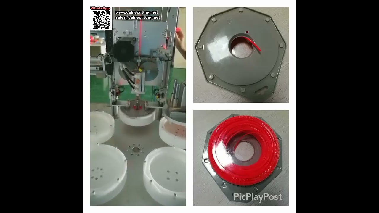 เครื่องพันถาดบลิสเตอร์อัตโนมัติสำหรับบรรจุสายตัดหญ้า | ระบบบรรจุภัณฑ์ครบวงจร