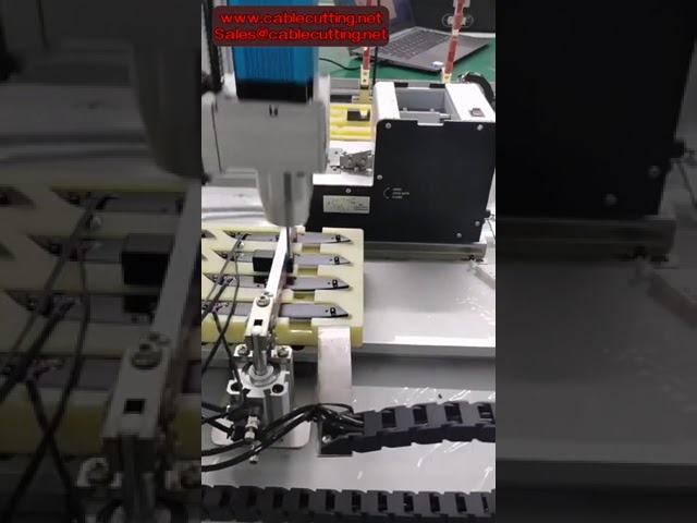 เครื่องขันสกรูอัตโนมัติแบบหุ่นยนต์ Servo ระบบป้อนสกรูอัตโนมัติ สถานีคู่ สำหรับสายการผลิต