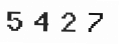 Verification Code Image